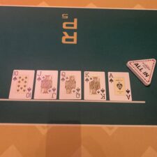 Ein Mann und eine Frau sitzen an einem Pokertisch und spielen eine Partie Poker. Der Mann hat einen Stapel Chips vor sich, während die Frau ihre Karten betrachtet. Ein Spannungsmoment während des Spiels ist zu