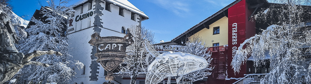 Ein malerischer Winterblick auf den zugefrorenen See mit verschneiten Bäumen und Bergen im Hintergrund.