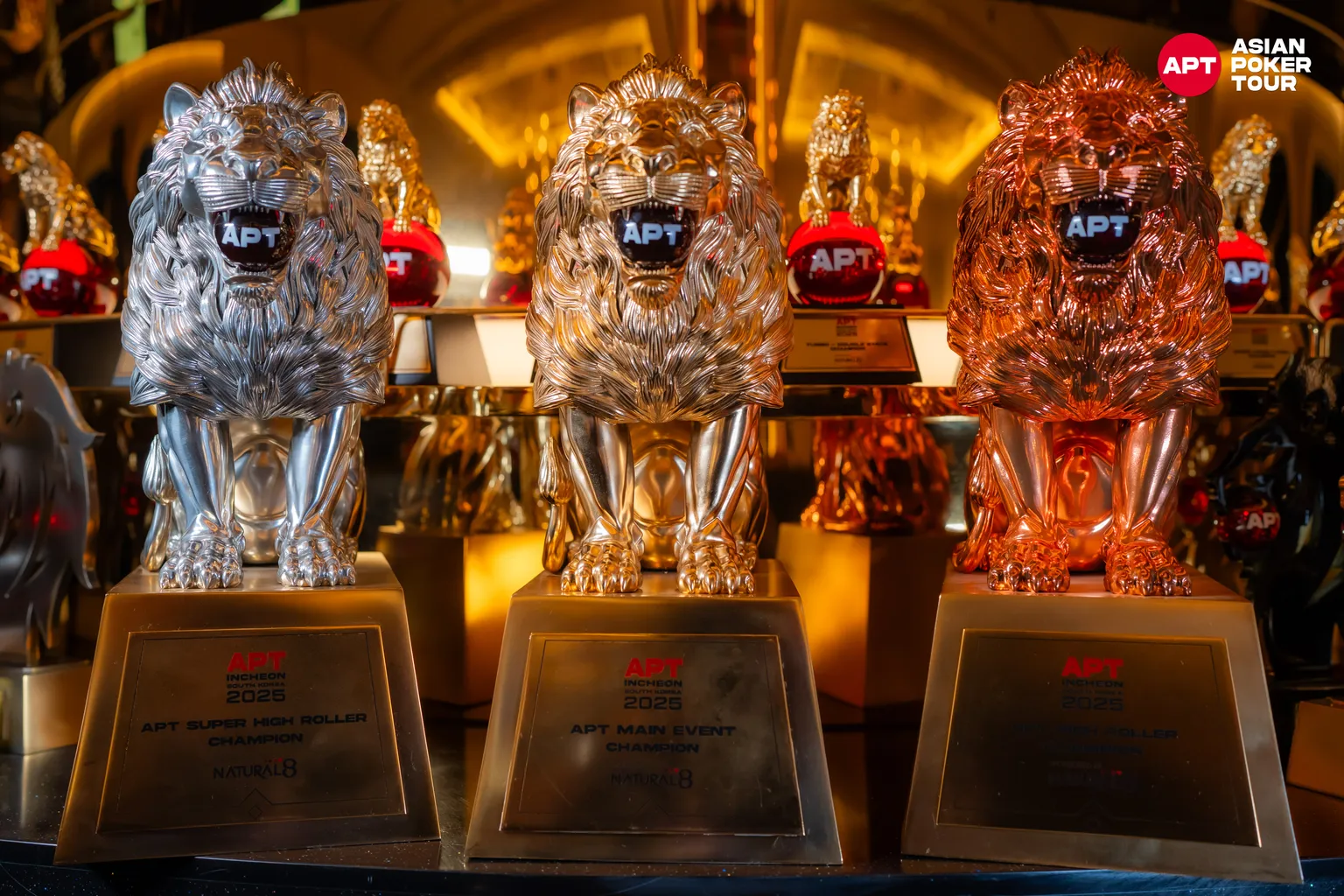 Live Poker – Start der APT Championship 2025